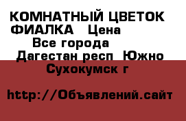 КОМНАТНЫЙ ЦВЕТОК -ФИАЛКА › Цена ­ 1 500 - Все города  »    . Дагестан респ.,Южно-Сухокумск г.